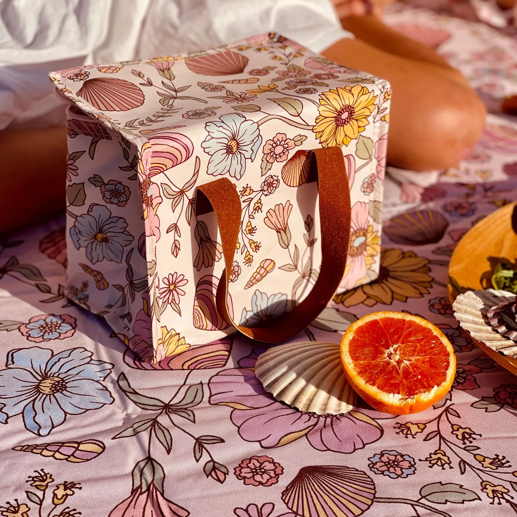 Lunch box Shells