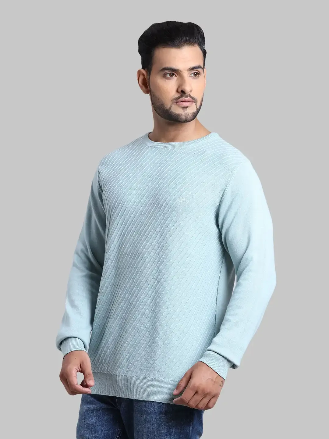 Men Blue Tailored Fit Structure Cotton Full Sleeve Round Collar Sweaters