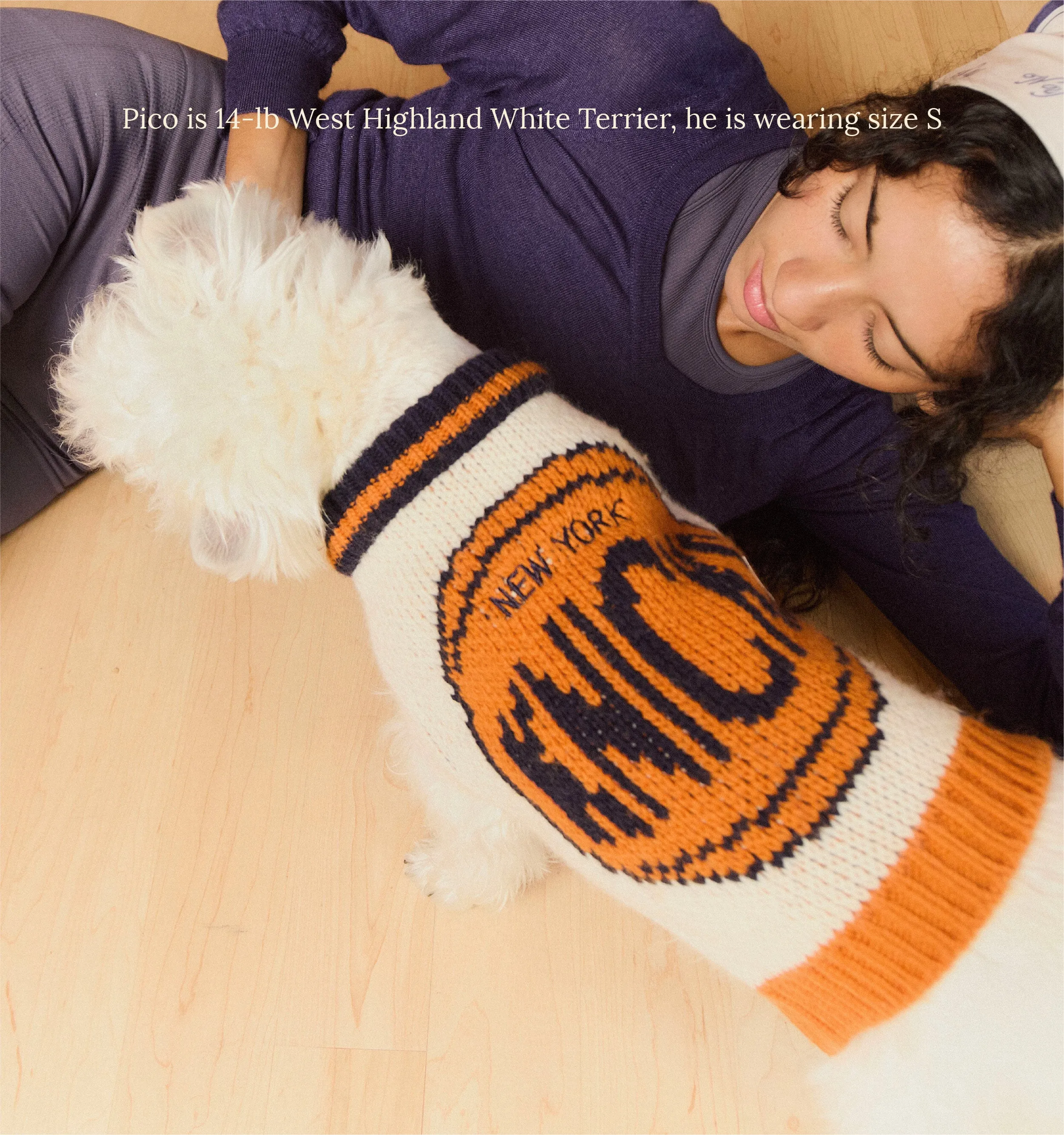 New York Knicks Dog Sweater - NBA