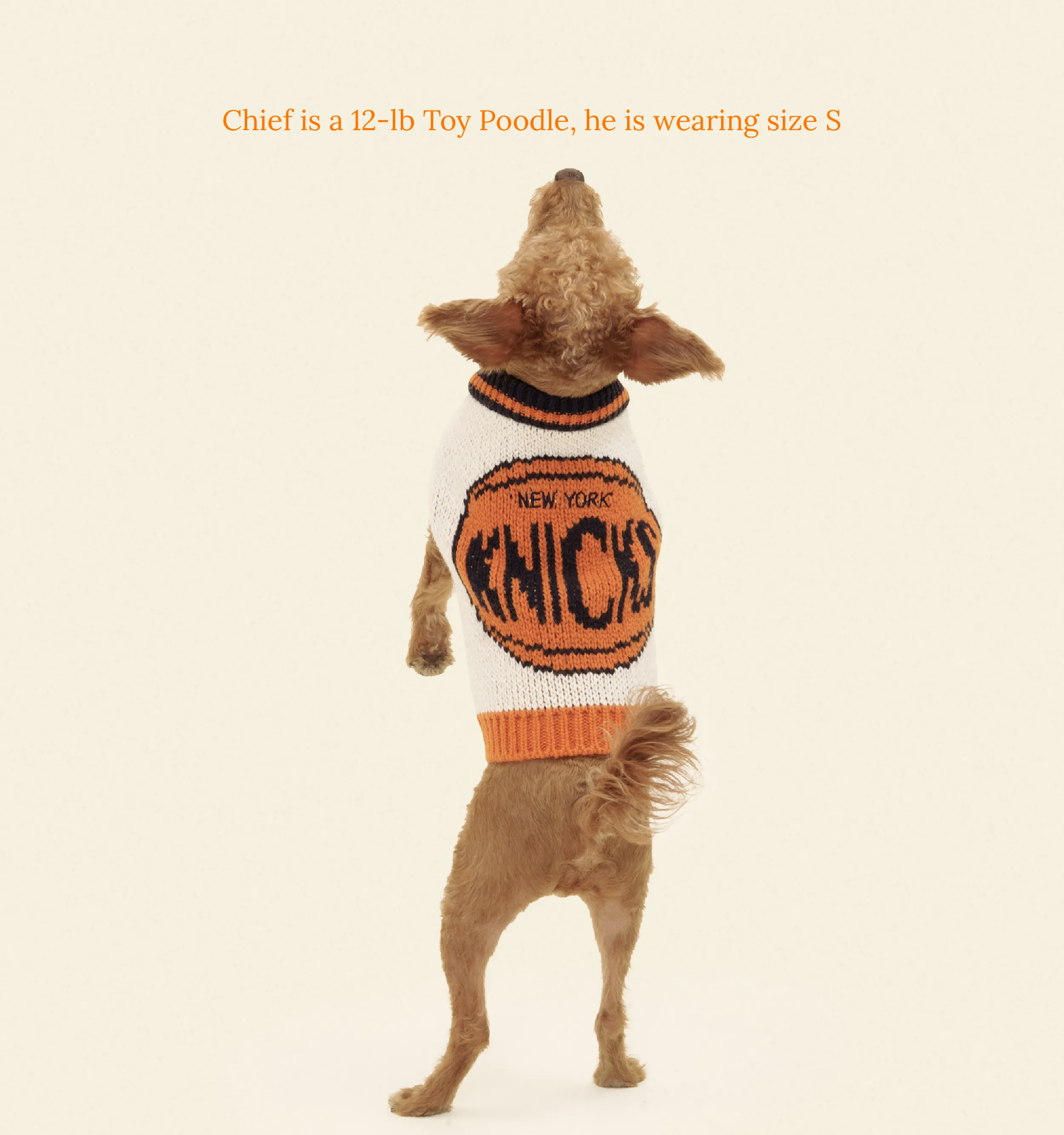 New York Knicks Dog Sweater - NBA