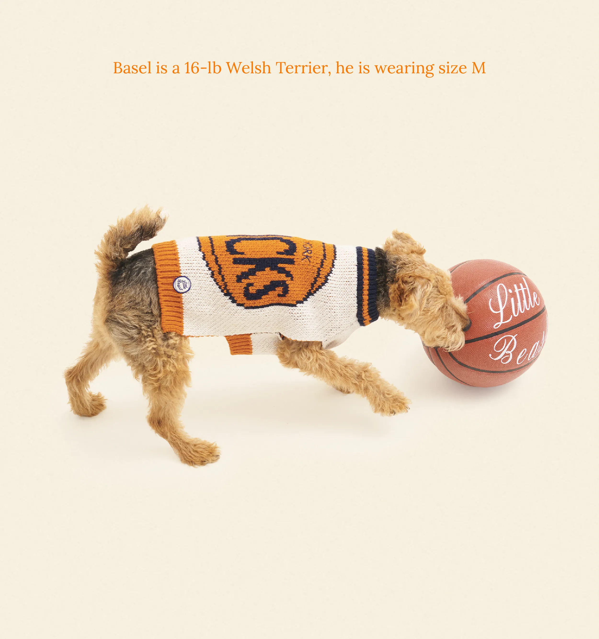 New York Knicks Dog Sweater - NBA