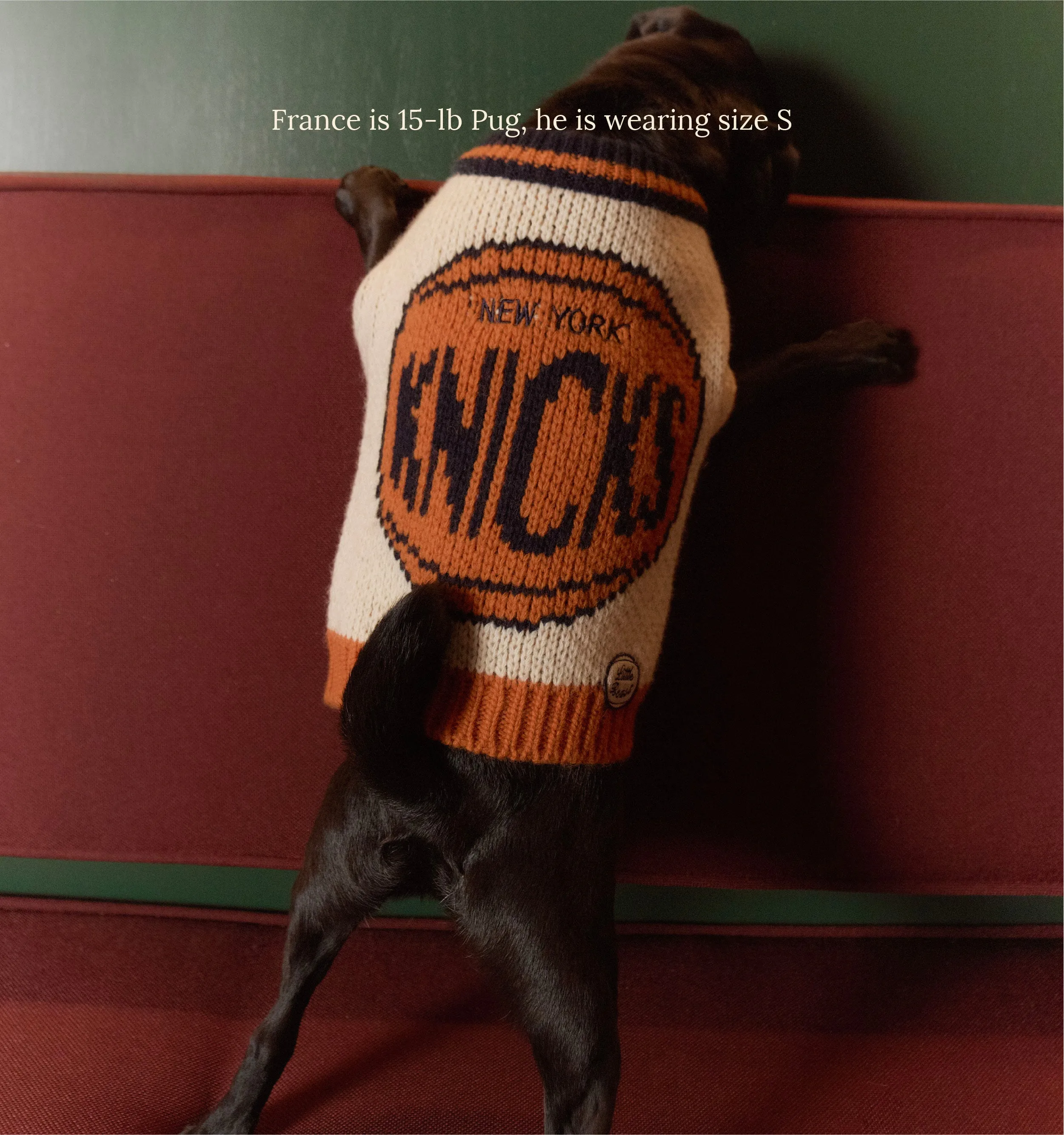 New York Knicks Dog Sweater - NBA