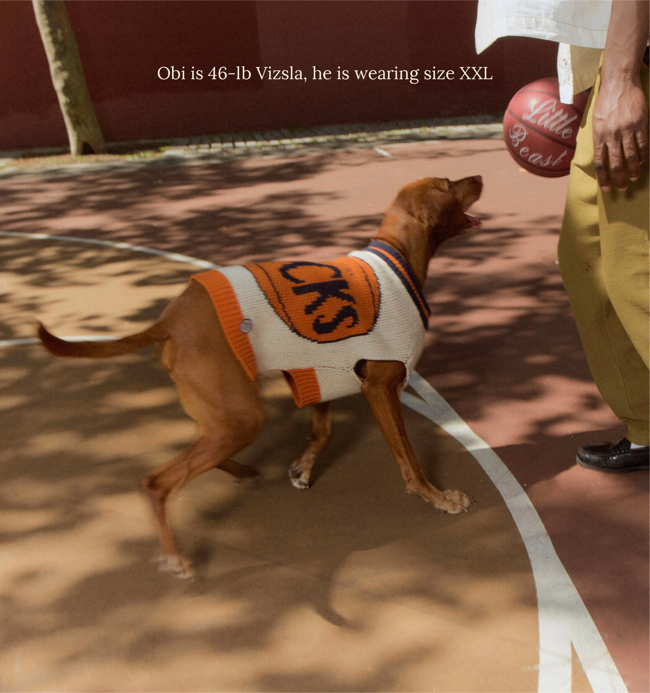 New York Knicks Dog Sweater - NBA