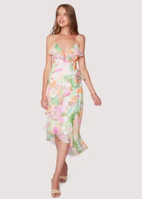 Painterly Love Maxi Dress
