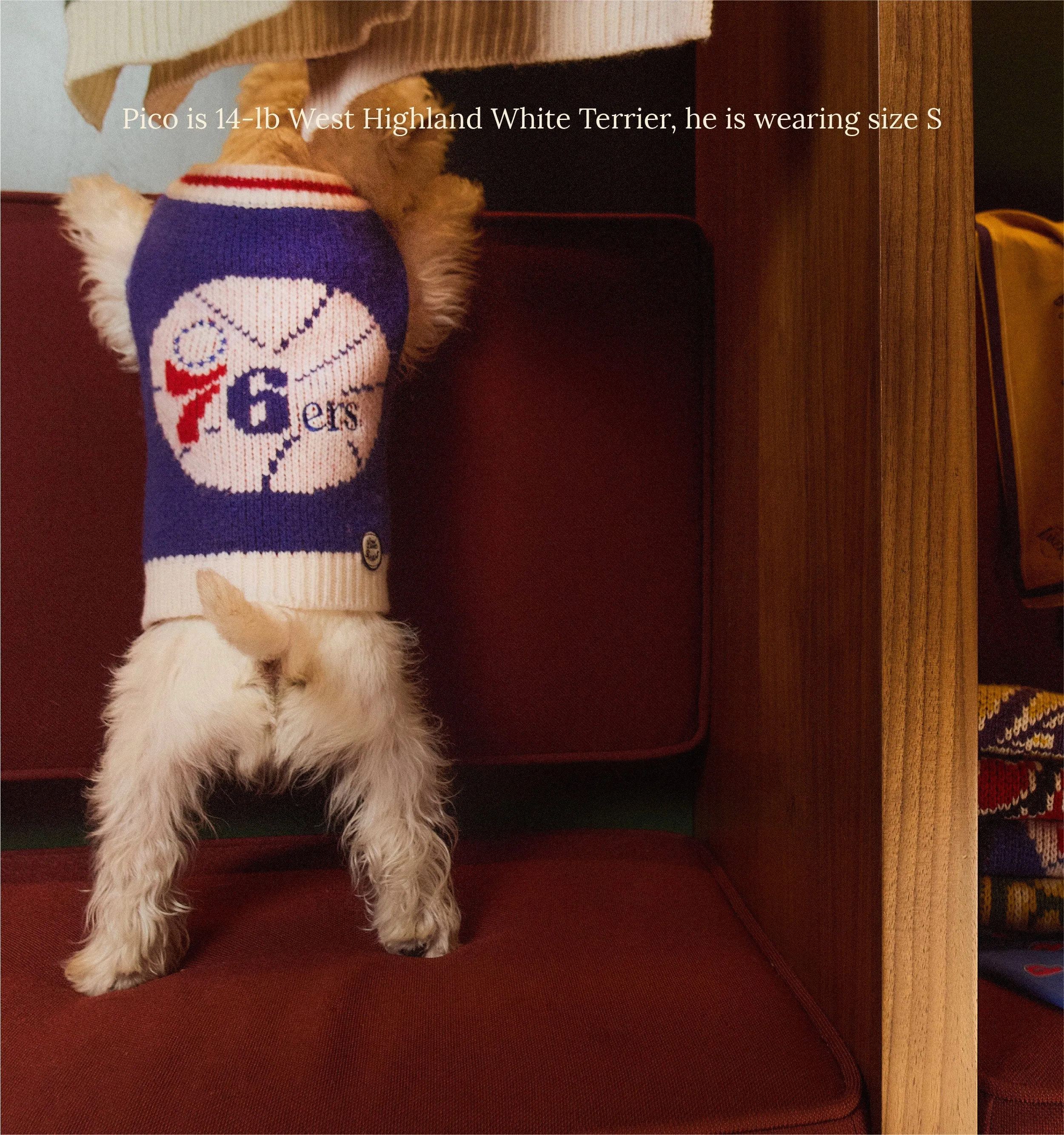 Philadelphia Sixers Dog Sweater - NBA
