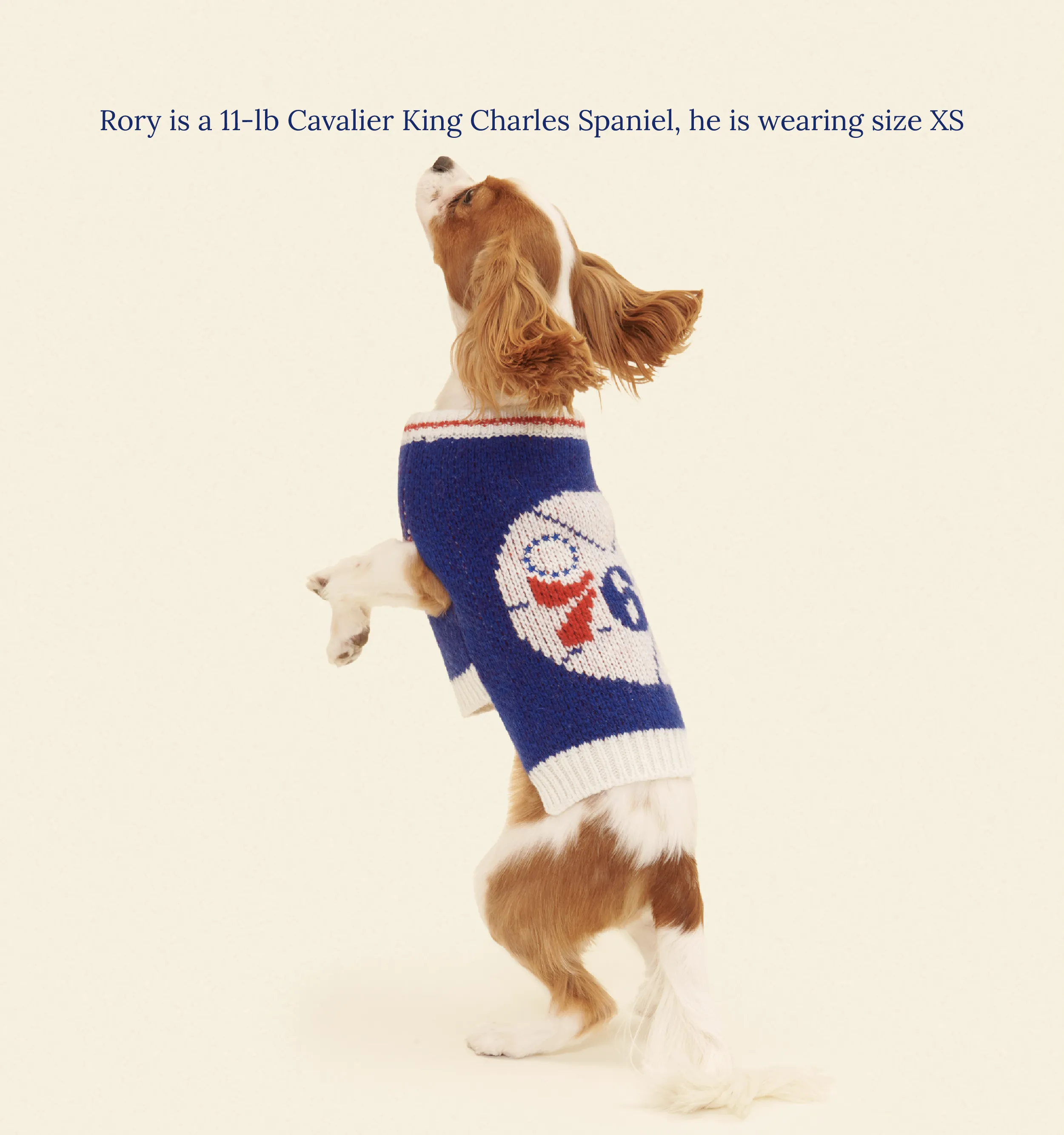 Philadelphia Sixers Dog Sweater - NBA