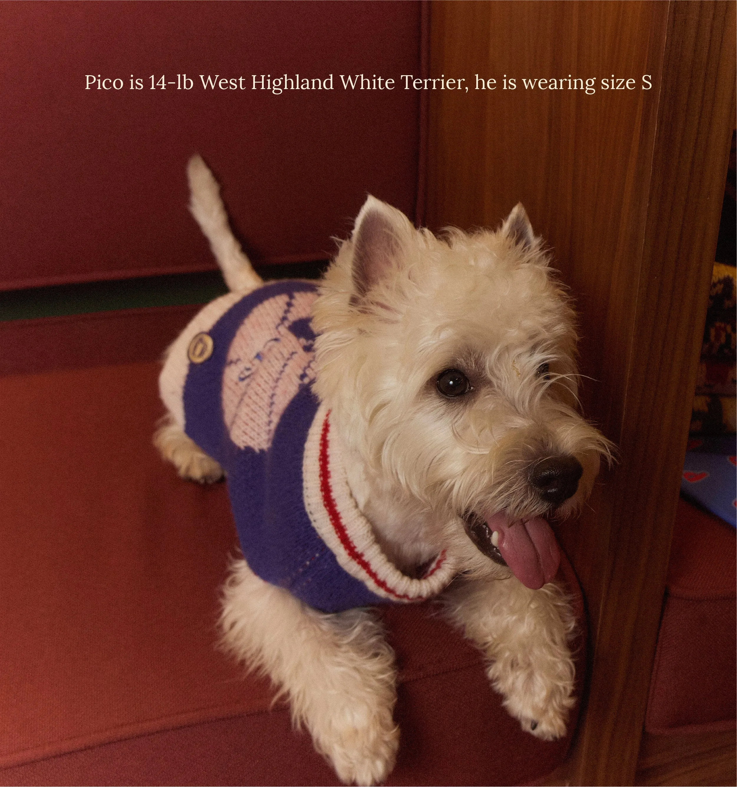 Philadelphia Sixers Dog Sweater - NBA