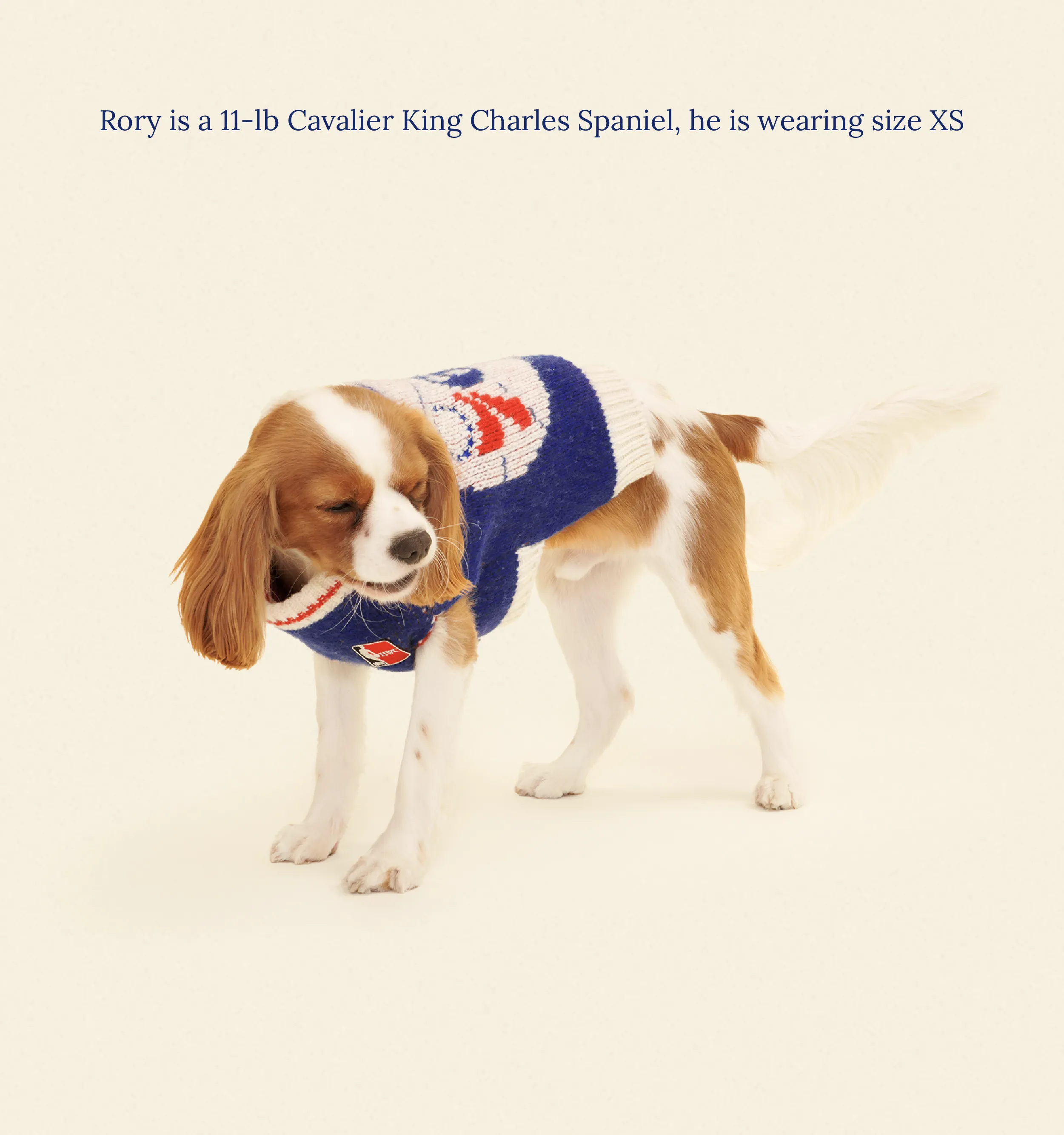 Philadelphia Sixers Dog Sweater - NBA